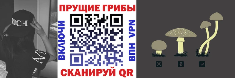 где купить наркоту  shop какой сайт  Псилоцибиновые грибы ЛСД  Уфа 