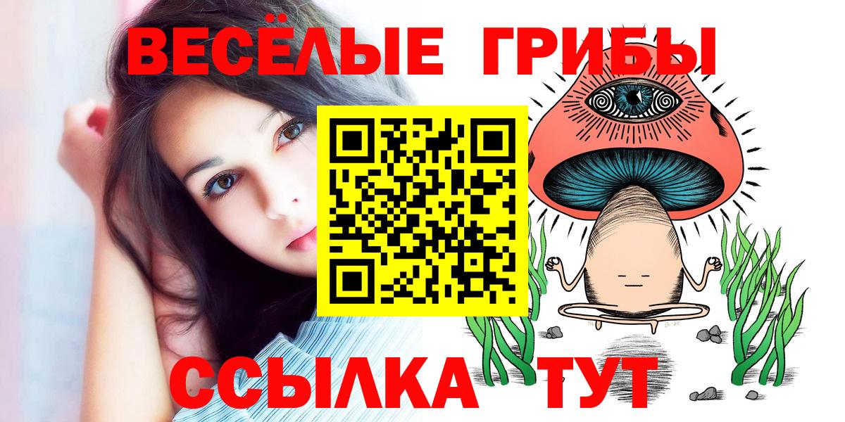 Галлюциногенные грибы прущие грибы  Вход с VPN  Уфа 